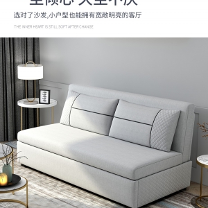 【A.SG】沙发床折叠两用客厅2021年新款小户型经济单双人可伸缩公寓沙发