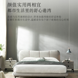 【A.SG】简约现代免洗科技布布艺床主卧卧室大床婚床双人床极简软包床