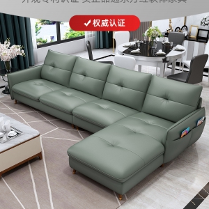 【A.SG】简约真皮沙发客厅小户型北欧头层牛皮组合三人位轻奢现代整装沙发